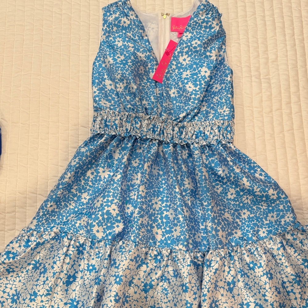 Lily Floral Blue and White taffeta Dress